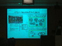 �s���r�F���̍u��